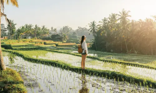 bali nouvelles règles mars 2025