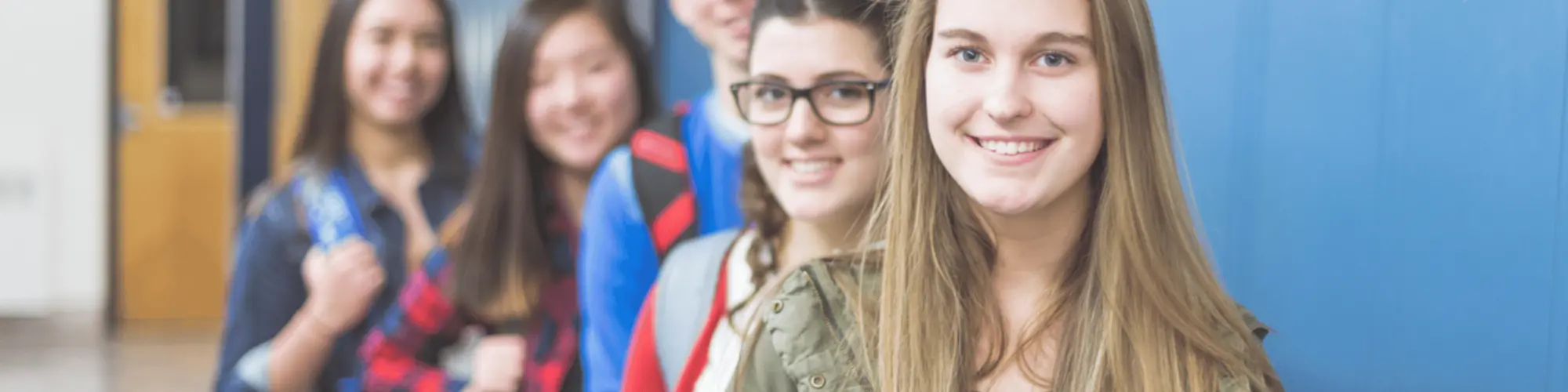 nacel quel visa choisir usa