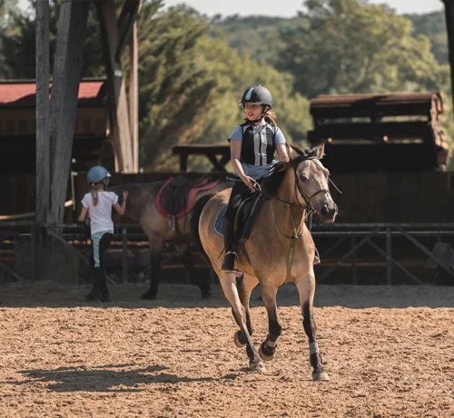 colo-anglais-et-equitation-ado-cheval