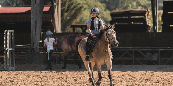 colo-anglais-et-equitation-ado-cheval