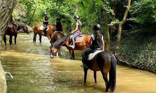 colonie anglais et équitation sortie cheval