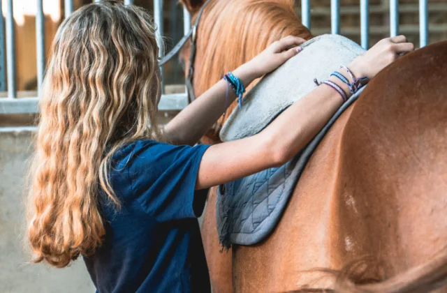 ados-stage-equitation