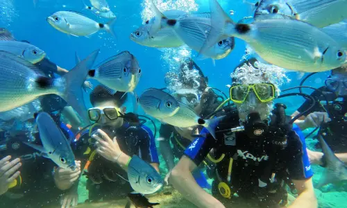 cours decouverte chypre plongee