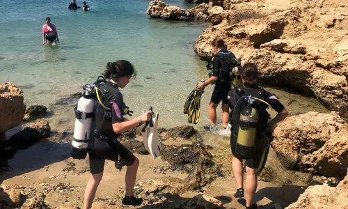 cours decouverte chypre activite