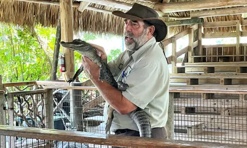 sejour-linguistique-miami-everglades