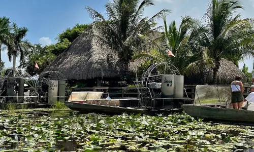 sejour-linguistique-miami-parc-everglades