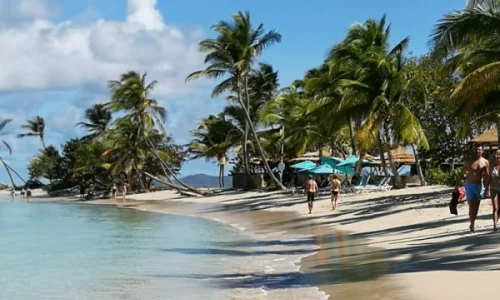 Colonie de vacances paradisiaque en Martinique pour ados