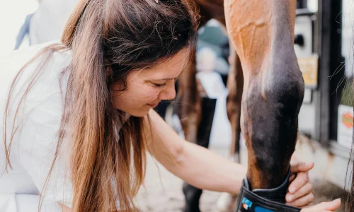 Programme de bénévolat au Canada